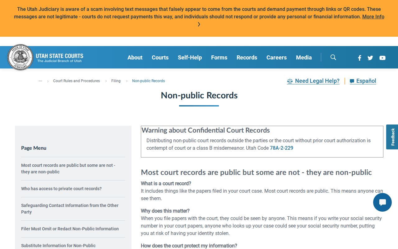 Summit County traffic court records redaction and substitute-value rules